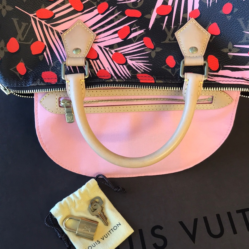 Louis Vuitton limited edition Stunning jungle dots speedy 30 - Picture 8 of 8